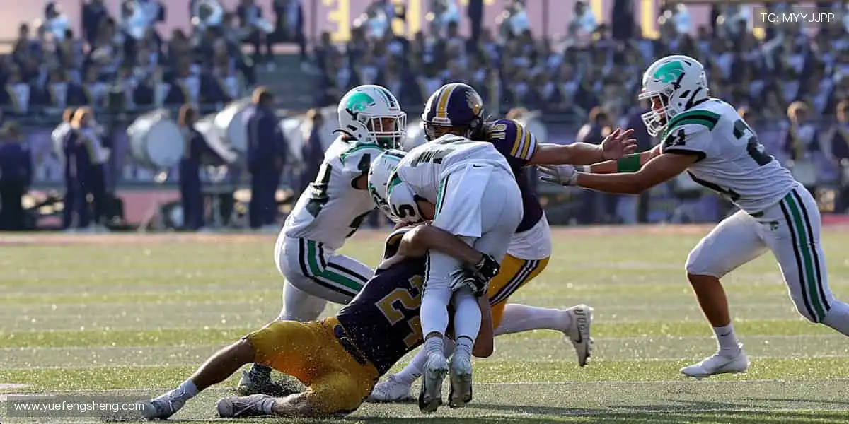 高清直播,零时差直击赛场,让你身临其境📱⏯️